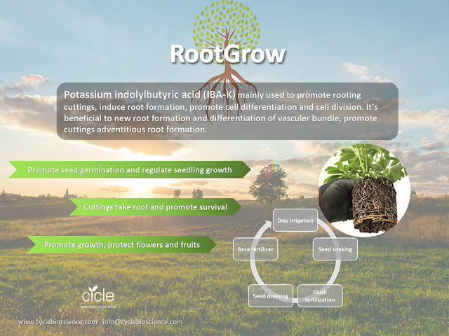 RootGrow.jpg